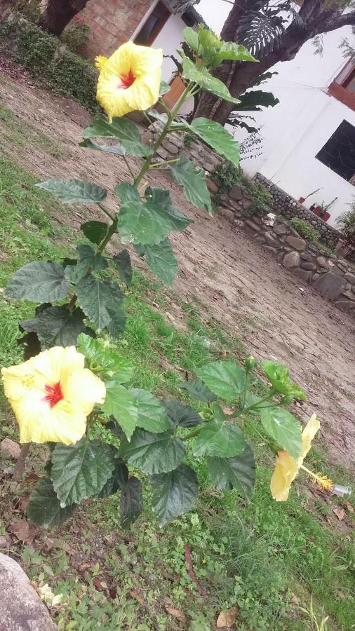 Residencial Valle Sagrado-ビルカバンバ エクステリア 写真
